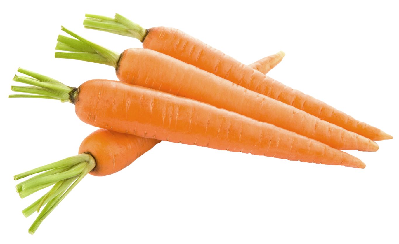 Carrot PNG image    图片编号:4985