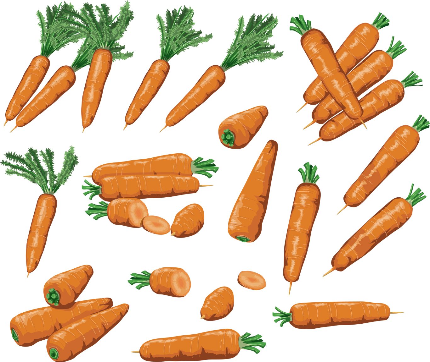Carrots PNG image    图片编号:4990