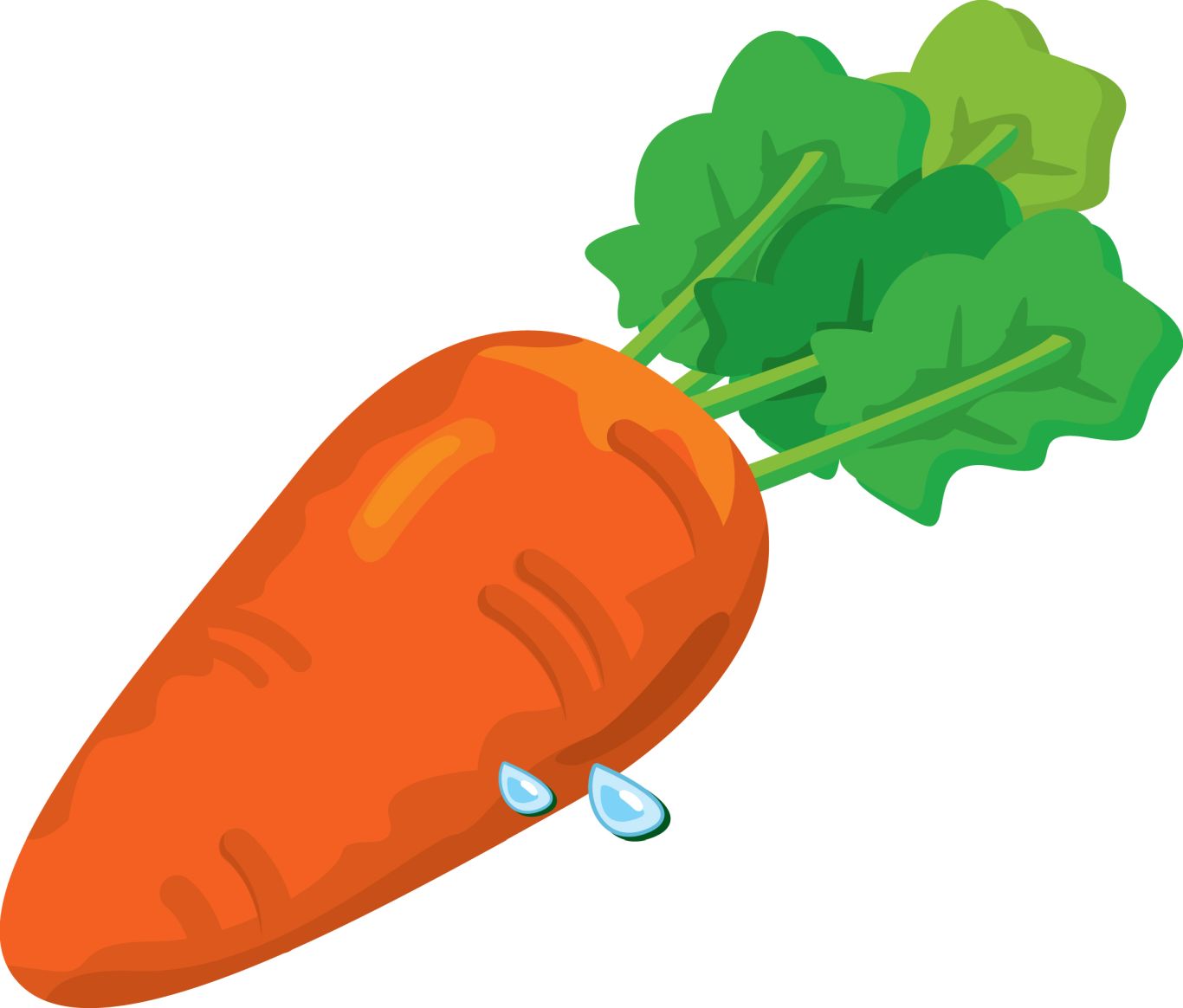 Carrot PNG image    图片编号:4991