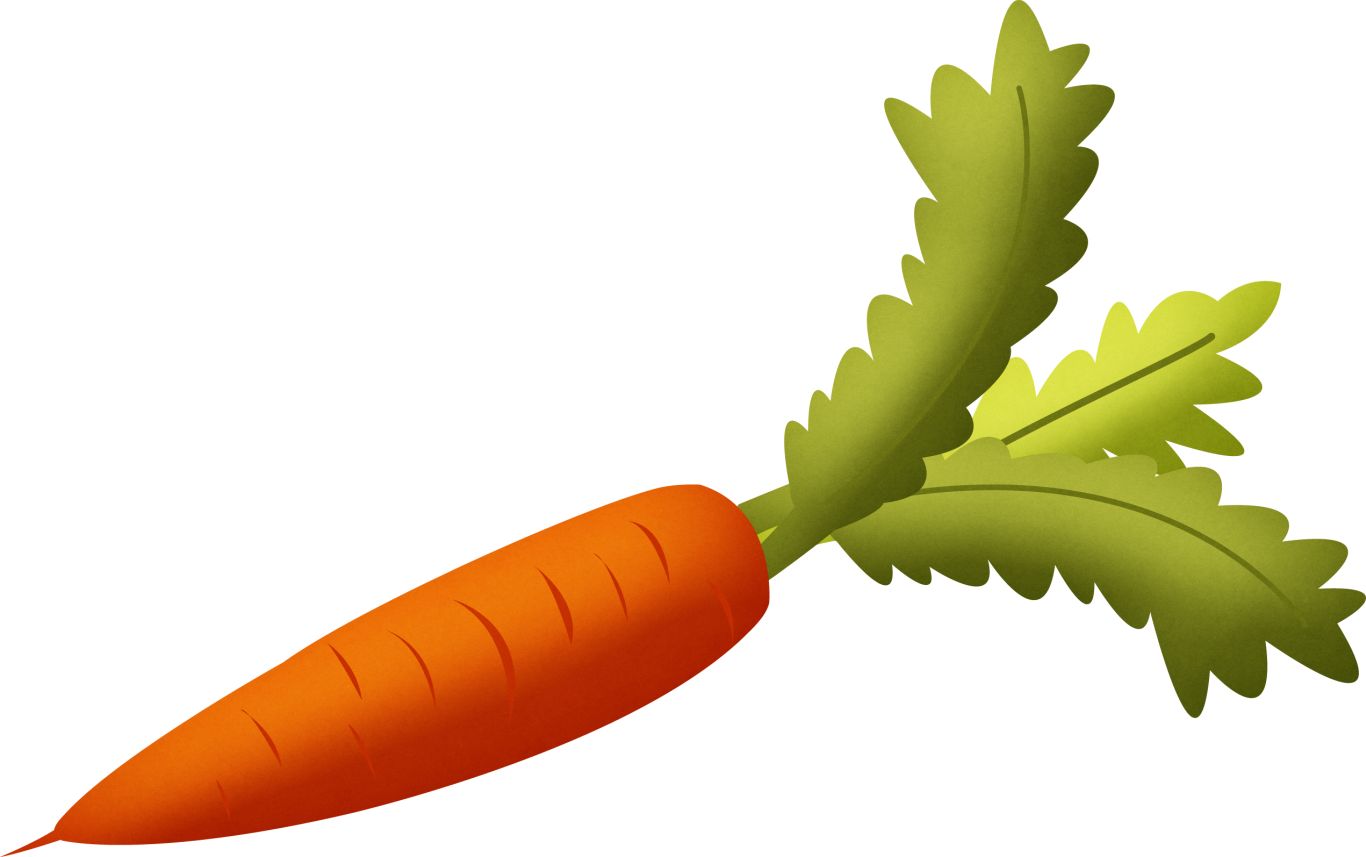 Carrot PNG image    图片编号:4997