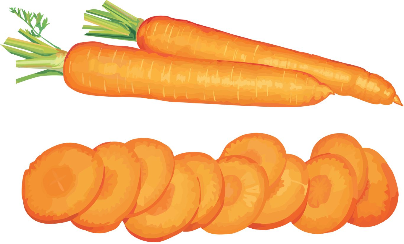 Carrot PNG    图片编号:99136