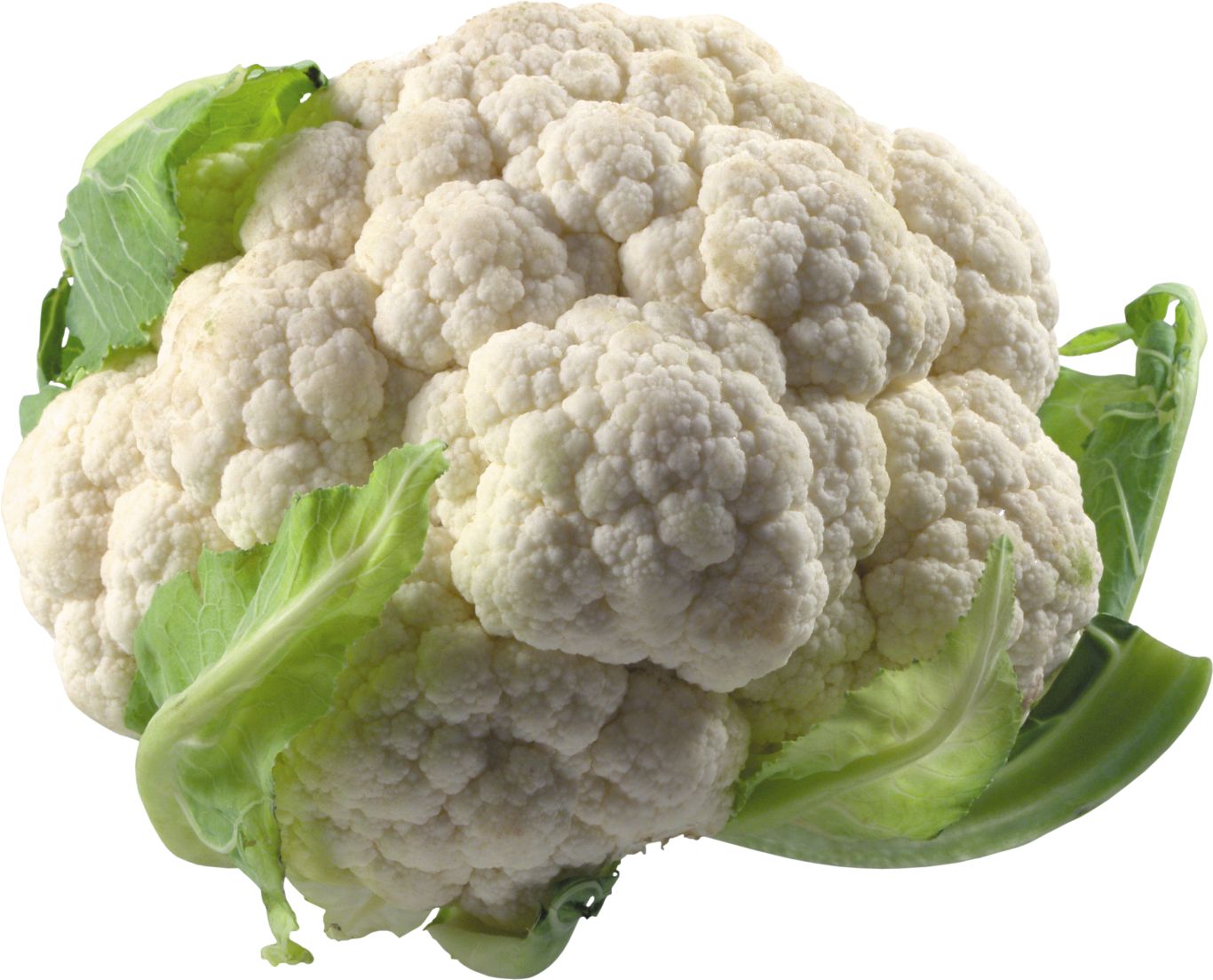 Cauliflower PNG    图片编号:12667