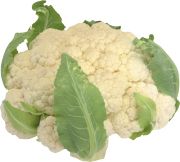 Cauliflower PNG    图片编号:12676