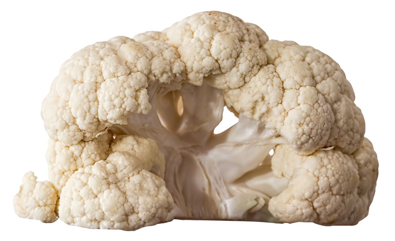 Cauliflower PNG    图片编号:12678