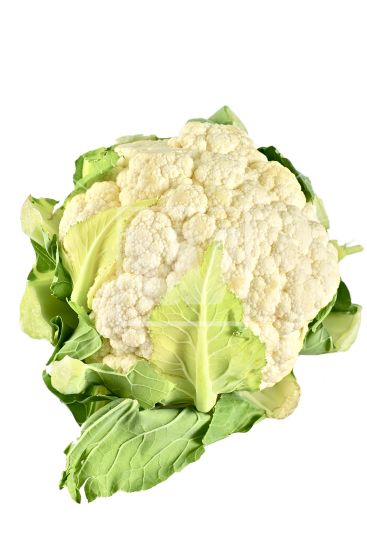 Cauliflower PNG    图片编号:12681