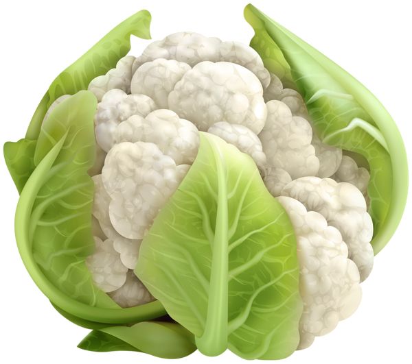 Cauliflower PNG    图片编号:99309