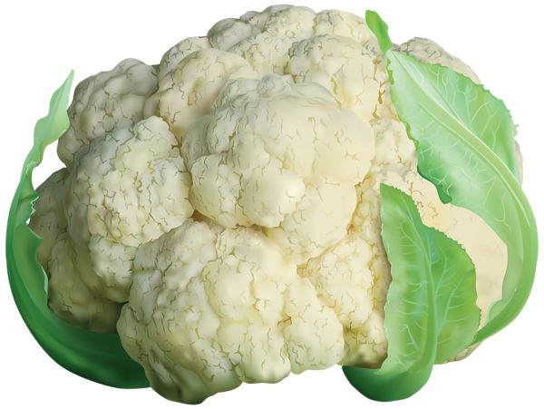 Cauliflower PNG    图片编号:99310