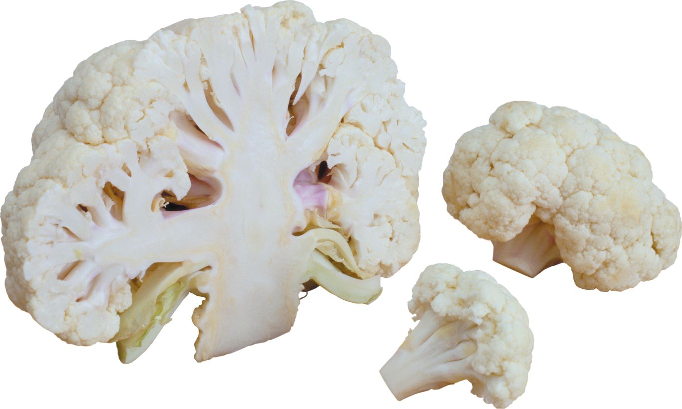 Cauliflower PNG    图片编号:99311
