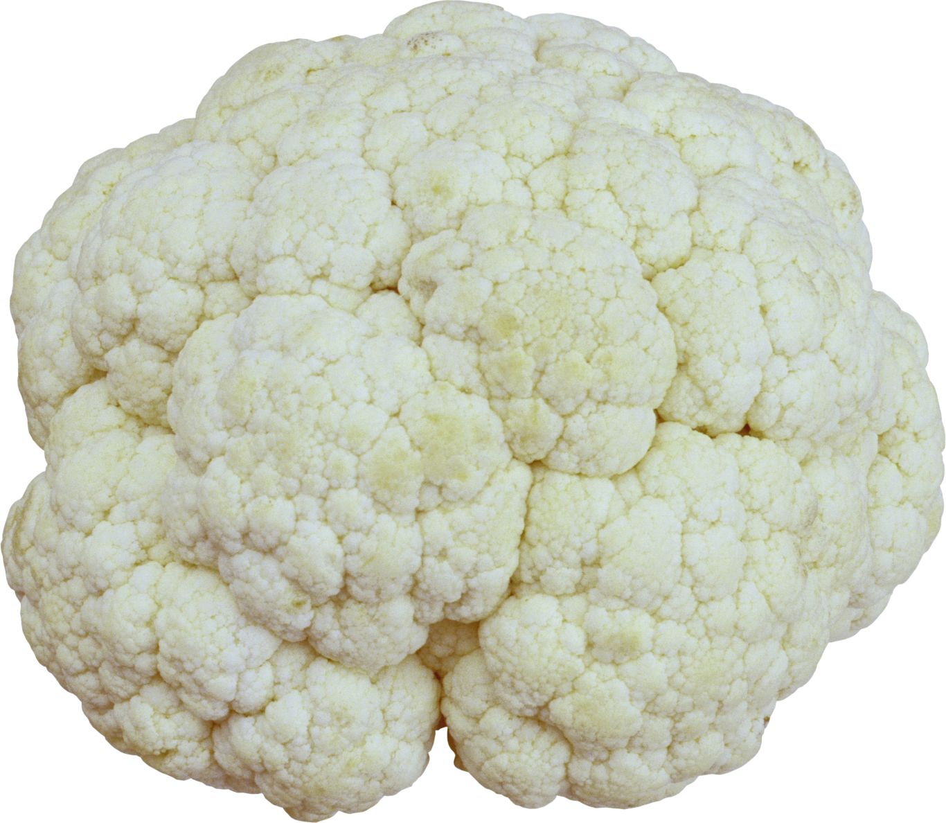 Cauliflower PNG    图片编号:99312