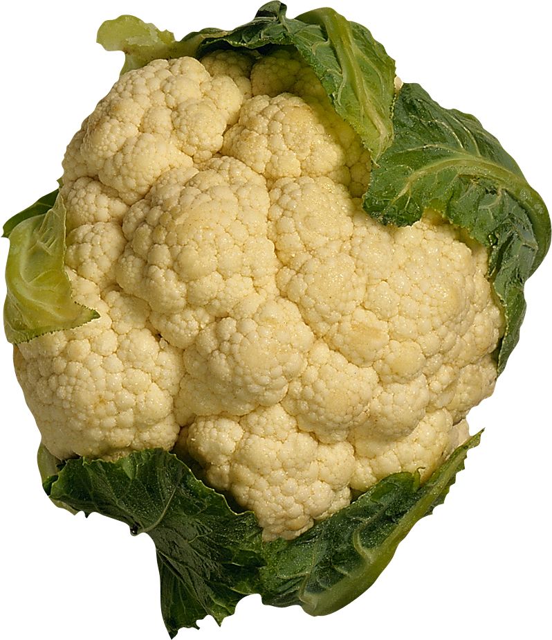 Cauliflower PNG    图片编号:99319