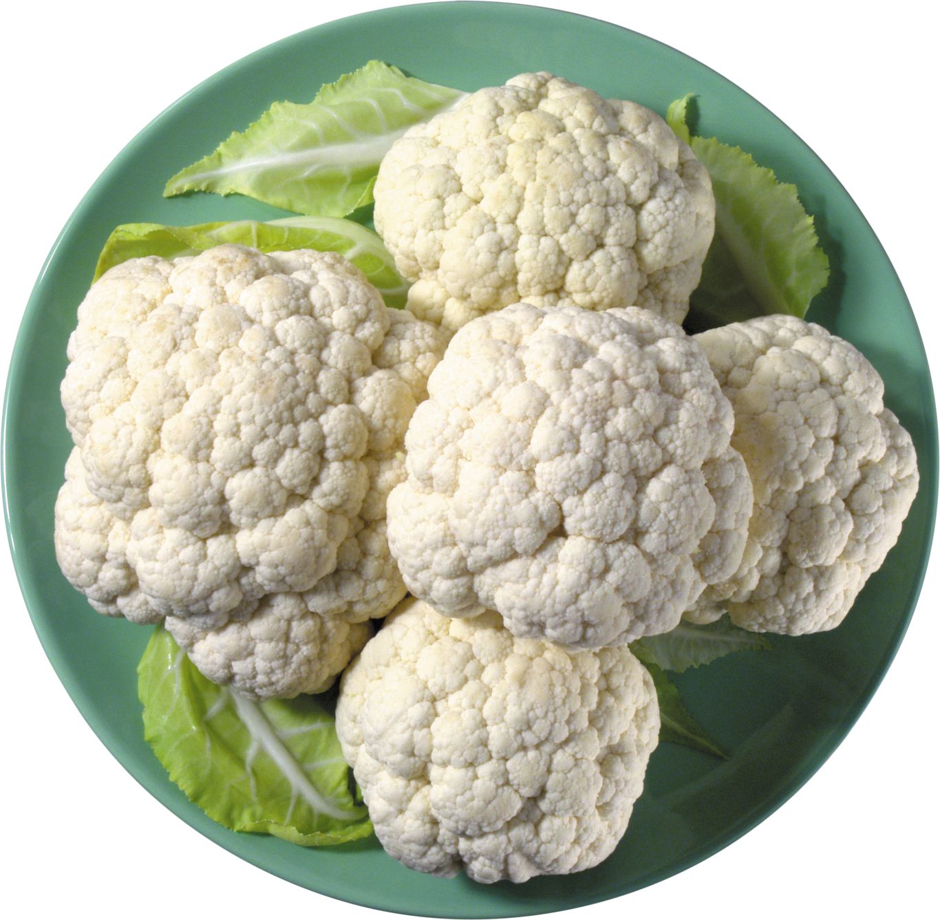 Cauliflower PNG    图片编号:99321