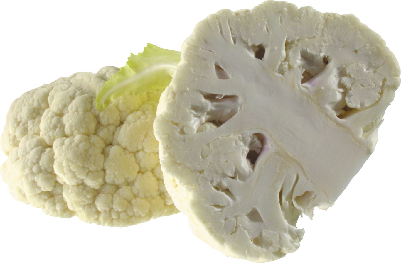 Cauliflower PNG    图片编号:99324