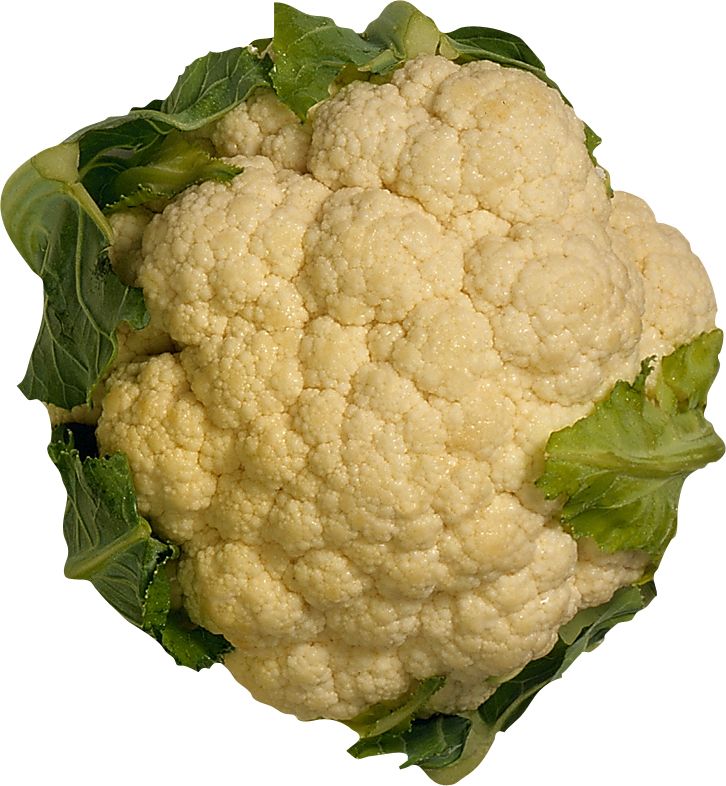 Cauliflower PNG    图片编号:99327