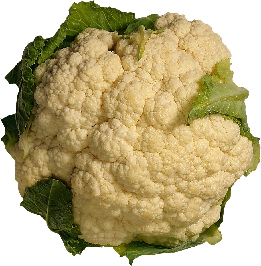Cauliflower PNG    图片编号:99328
