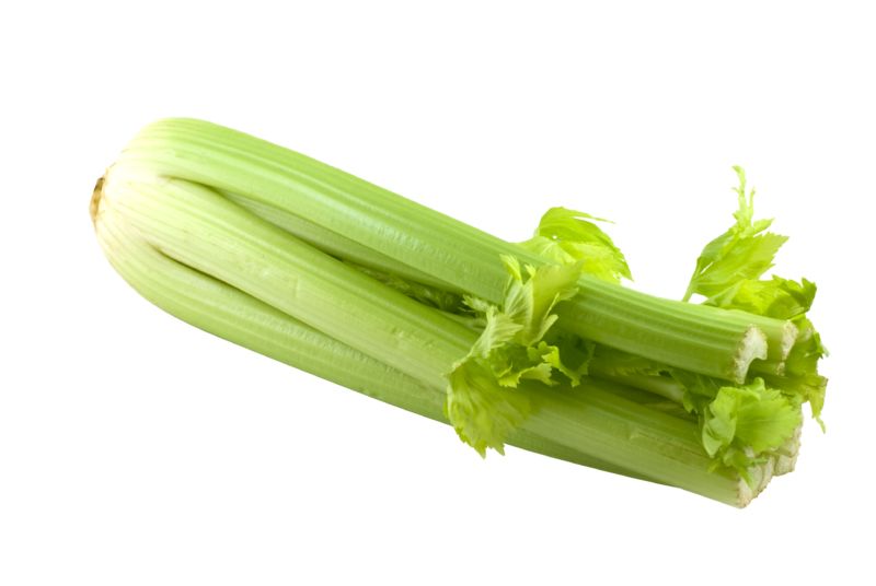 Celery PNG    图片编号:104960