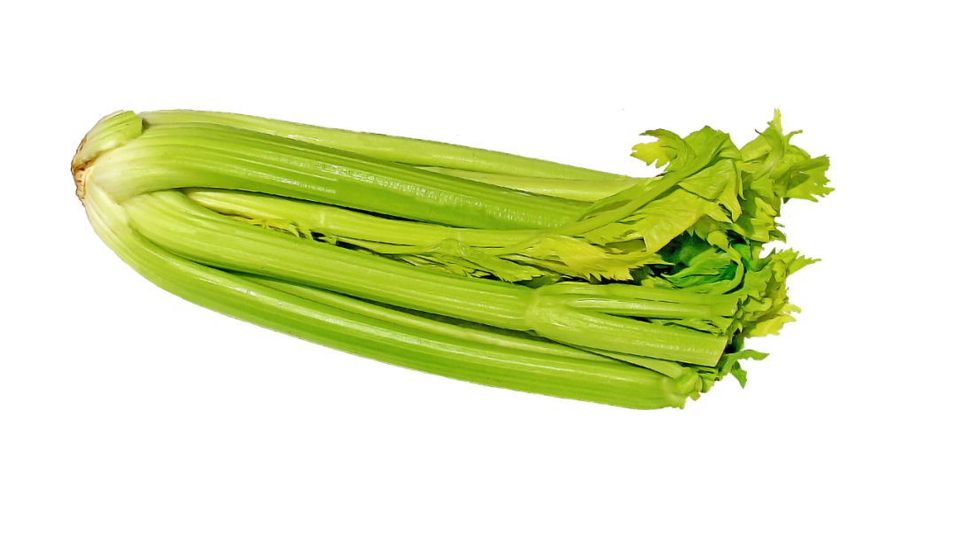 Celery PNG    图片编号:104967