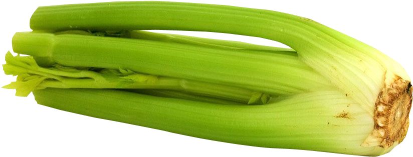Celery PNG    图片编号:104952