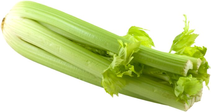 Celery PNG    图片编号:104972