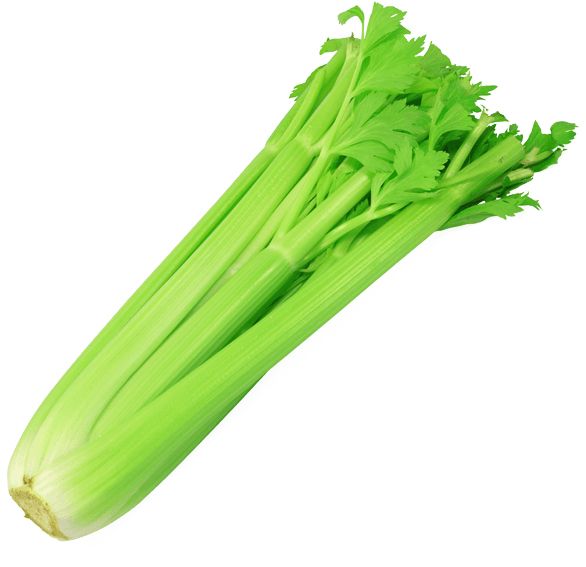 Celery PNG    图片编号:104978