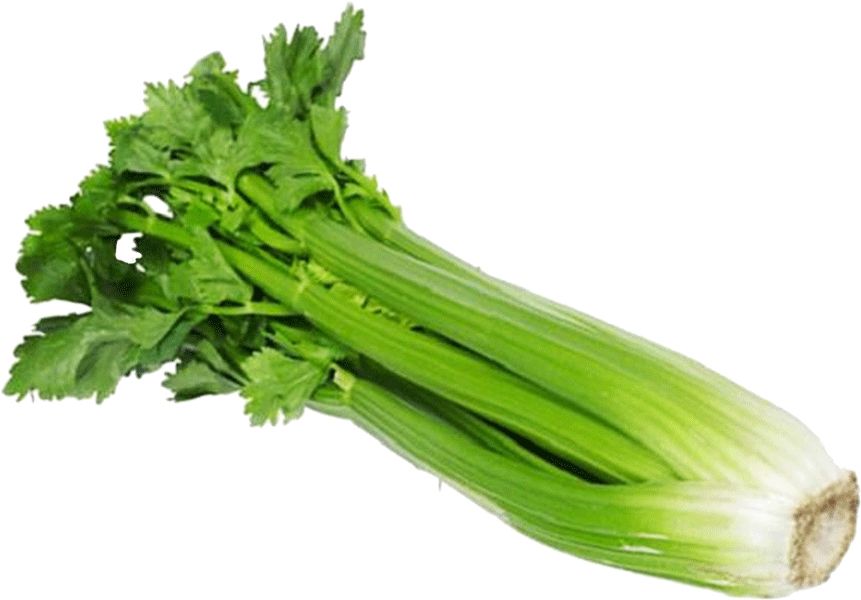 Celery PNG    图片编号:104953