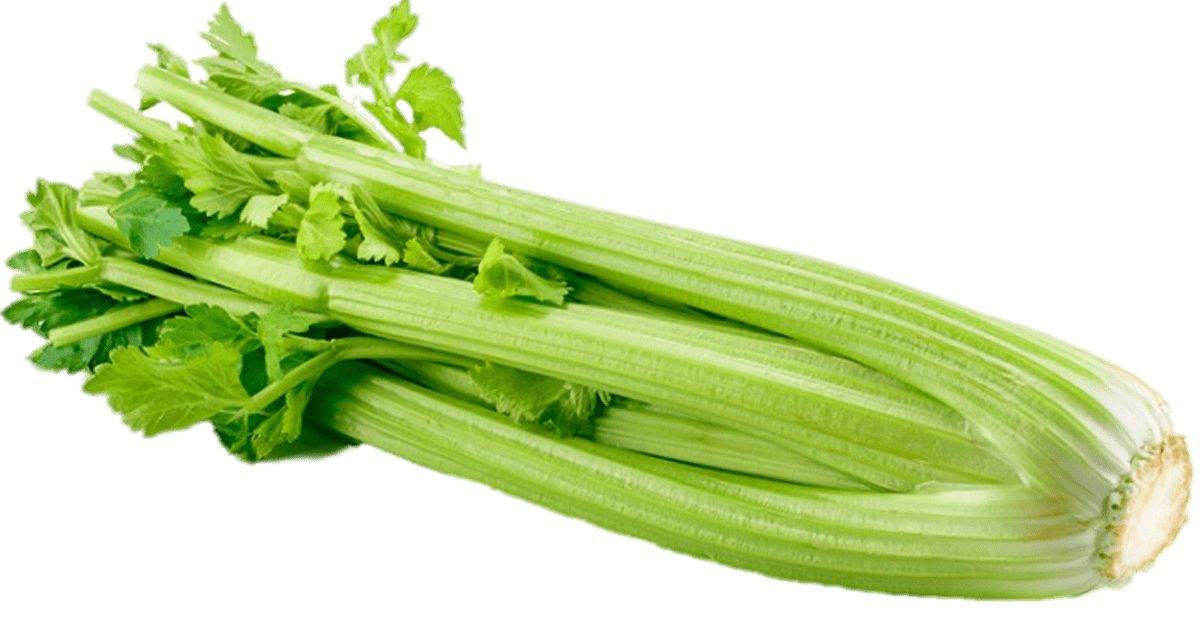 Celery PNG    图片编号:104982