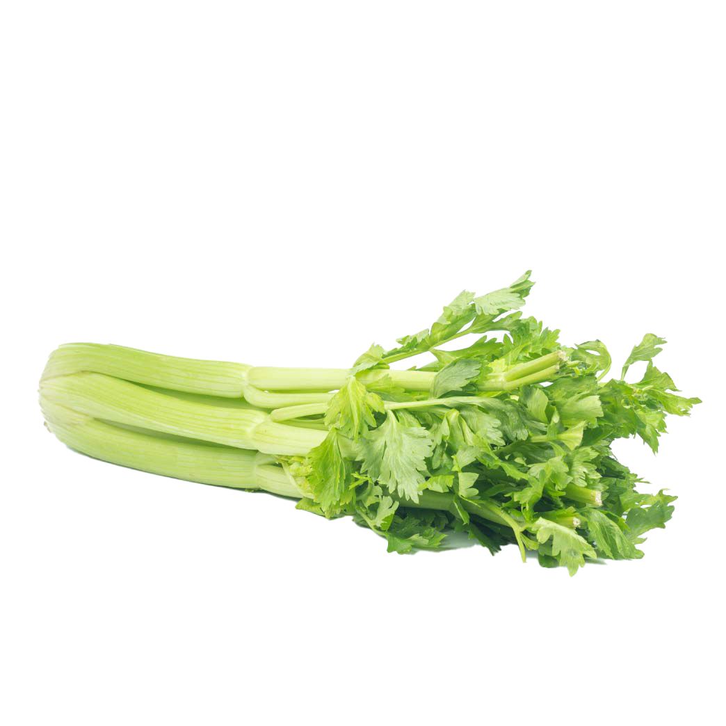 Celery PNG    图片编号:104985