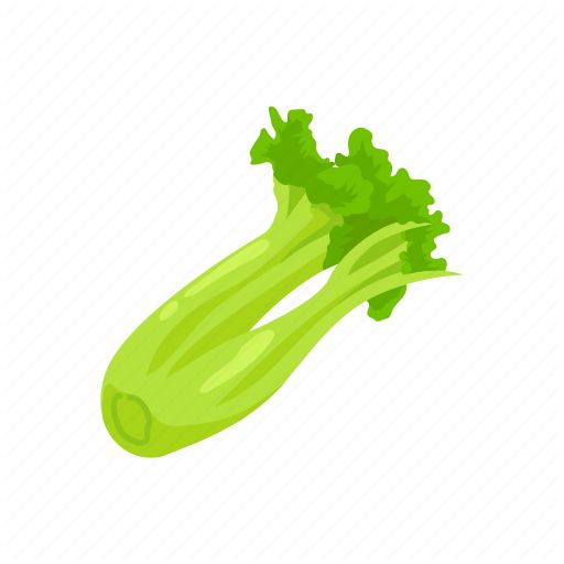 Celery PNG    图片编号:104954