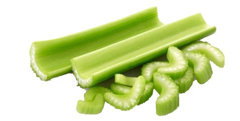 Celery PNG    图片编号:104955