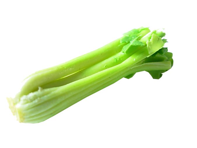 Celery PNG    图片编号:104959