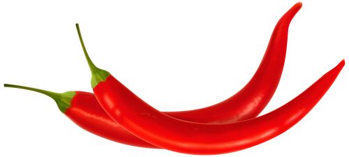 Chili pepper PNG    图片编号:103986