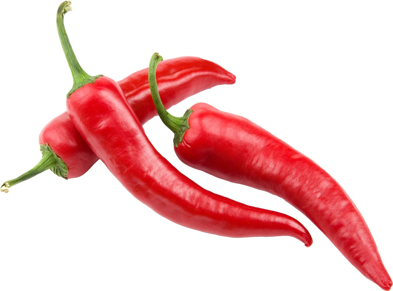 Chili pepper PNG    图片编号:103989