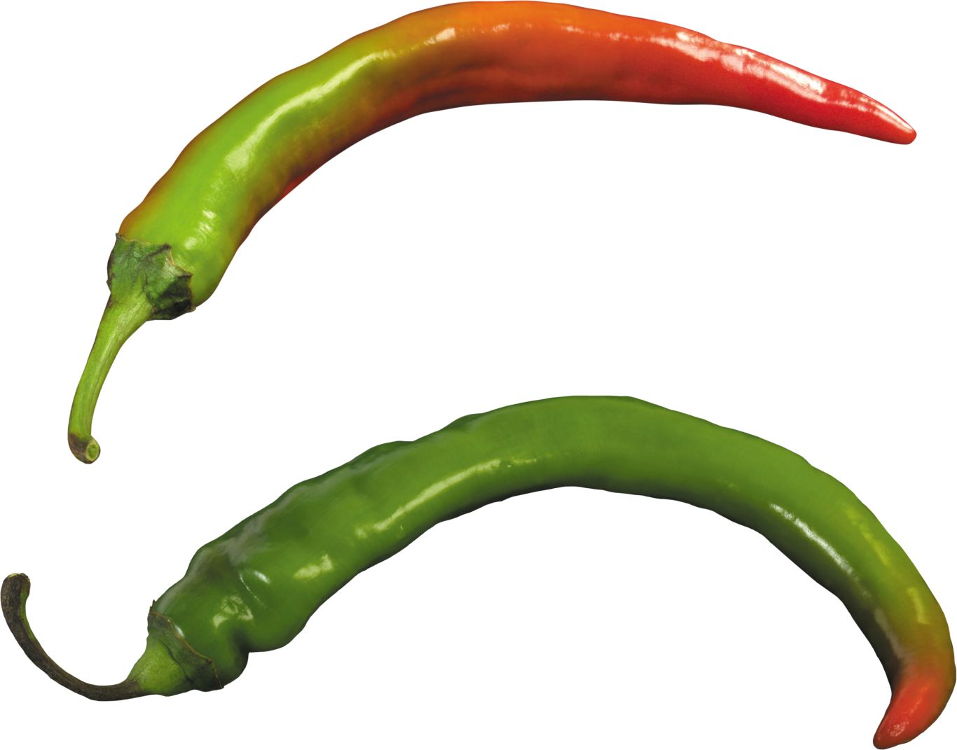 Chili pepper PNG    图片编号:103993