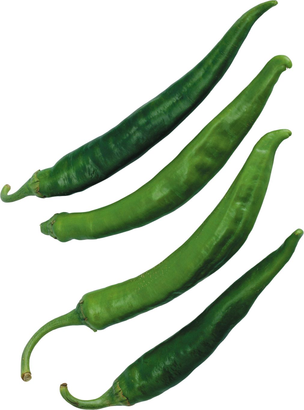Chili pepper PNG    图片编号:104005
