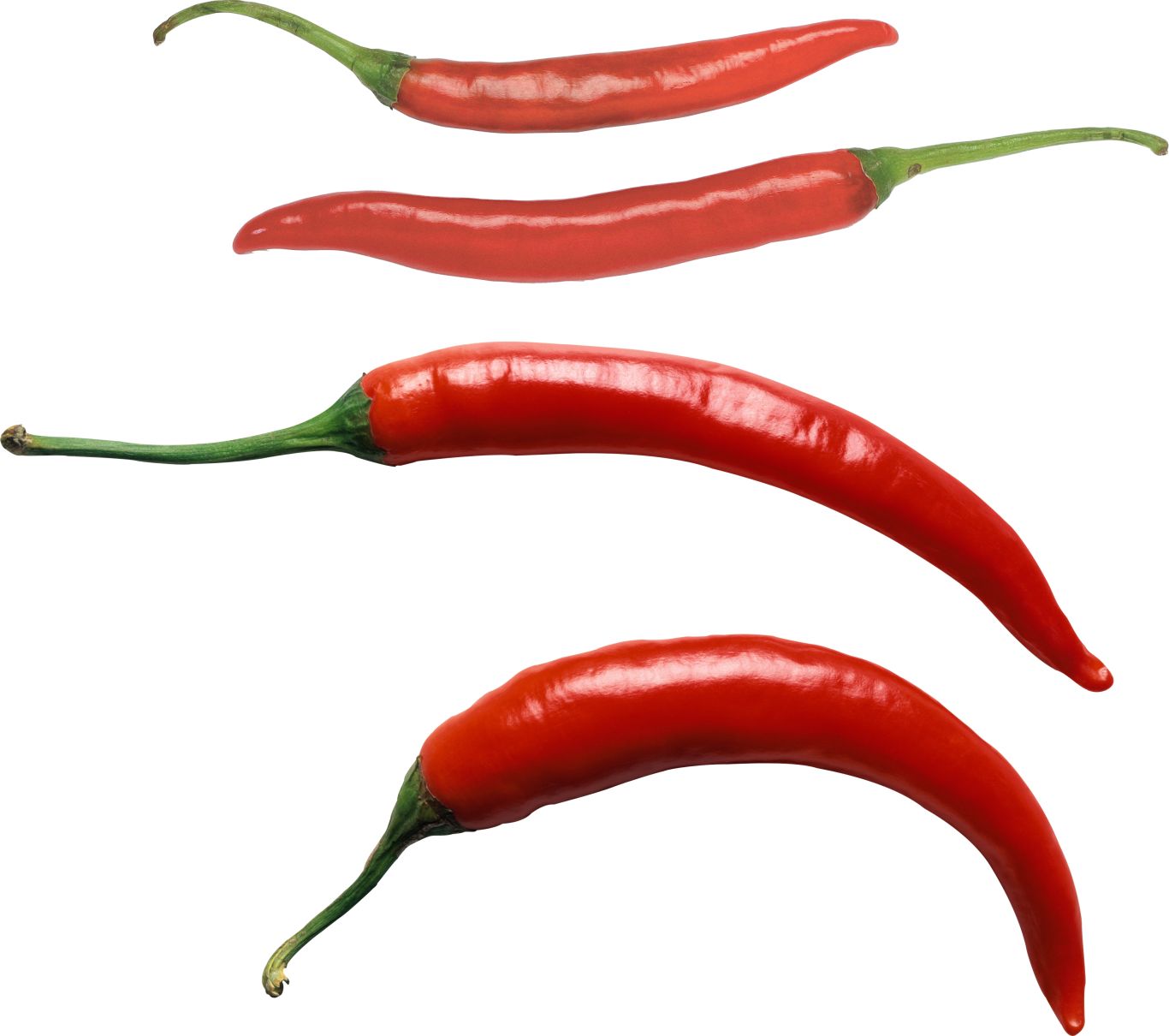 Chili pepper PNG    图片编号:104010