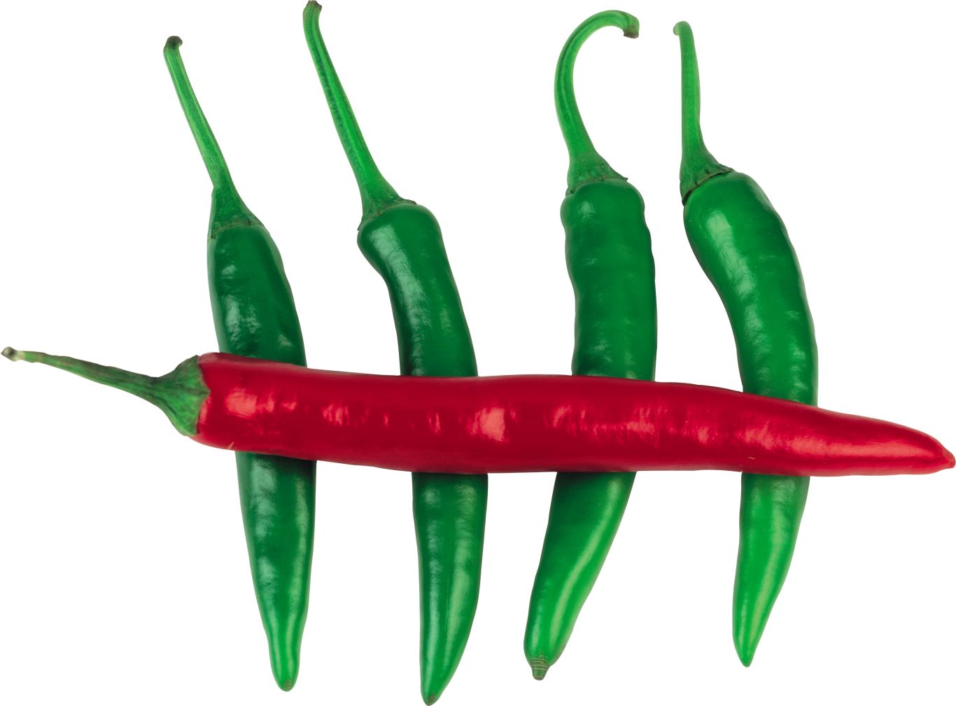 Chili pepper PNG    图片编号:104011