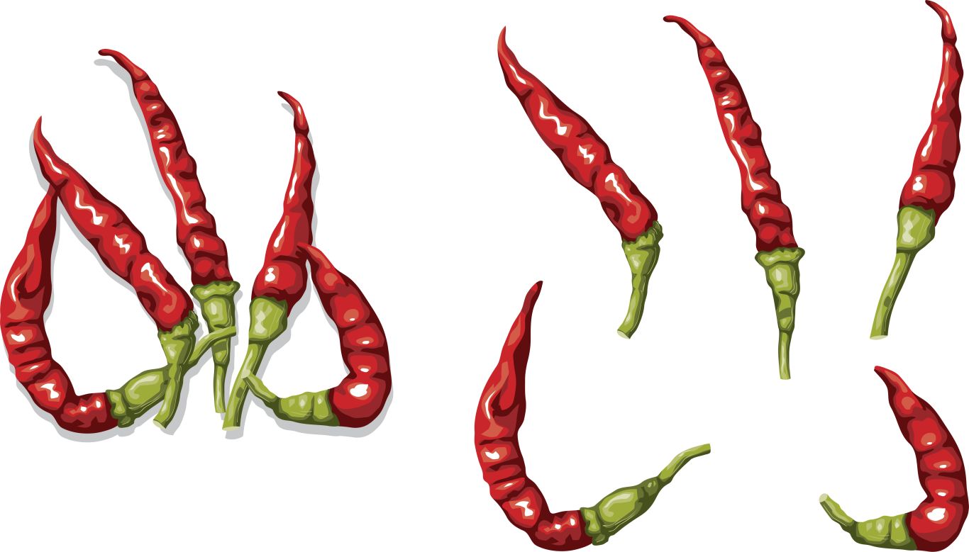 Chili pepper PNG    图片编号:104012