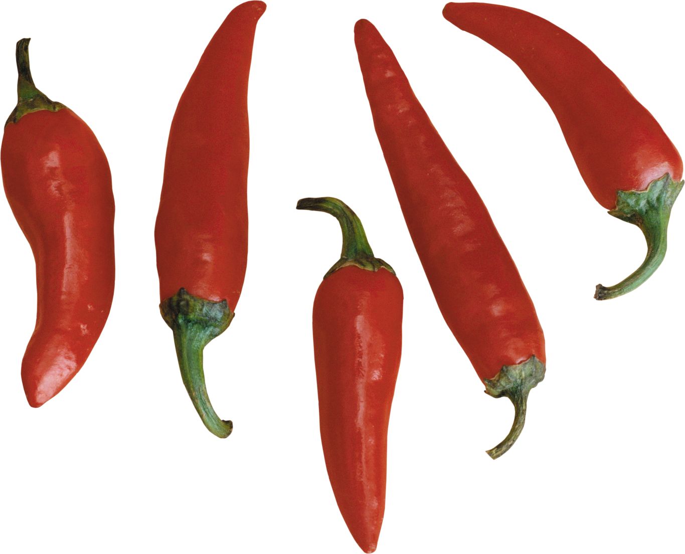 Chili pepper PNG    图片编号:104014