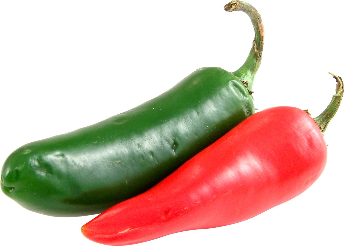 Chili pepper PNG    图片编号:104017