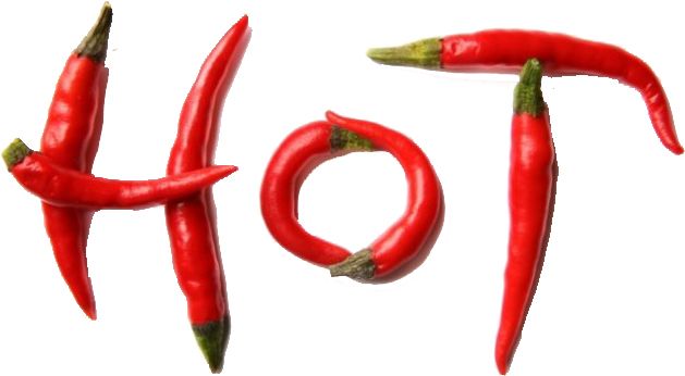 Chili pepper PNG    图片编号:103981