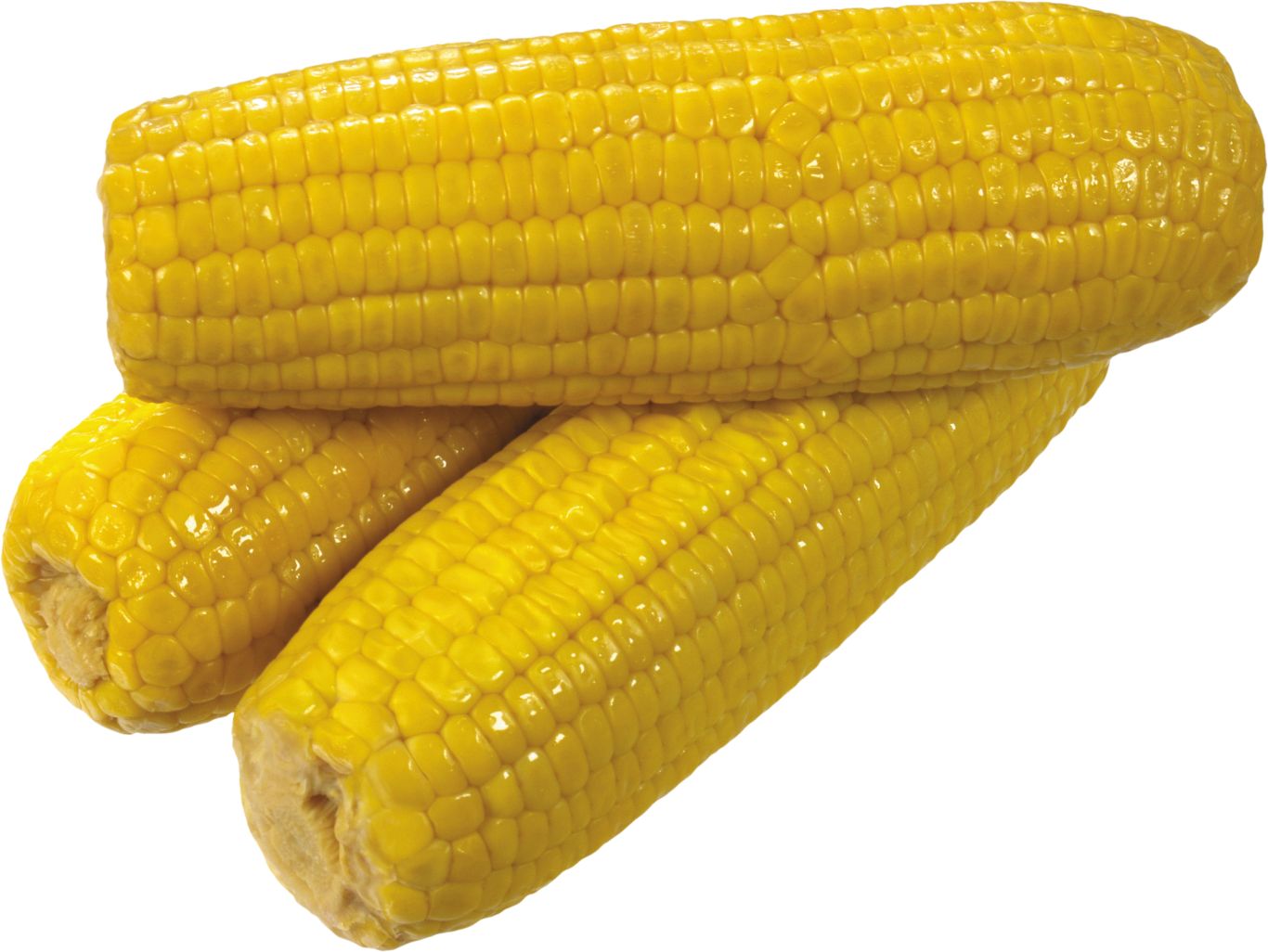 Yellow corn PNG image    图片编号:5265