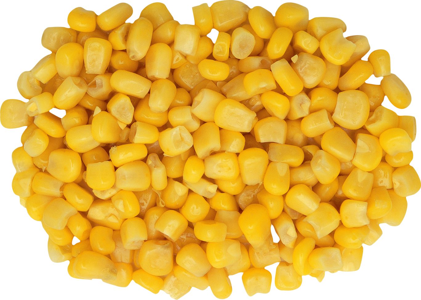 Corn PNG image    图片编号:5268