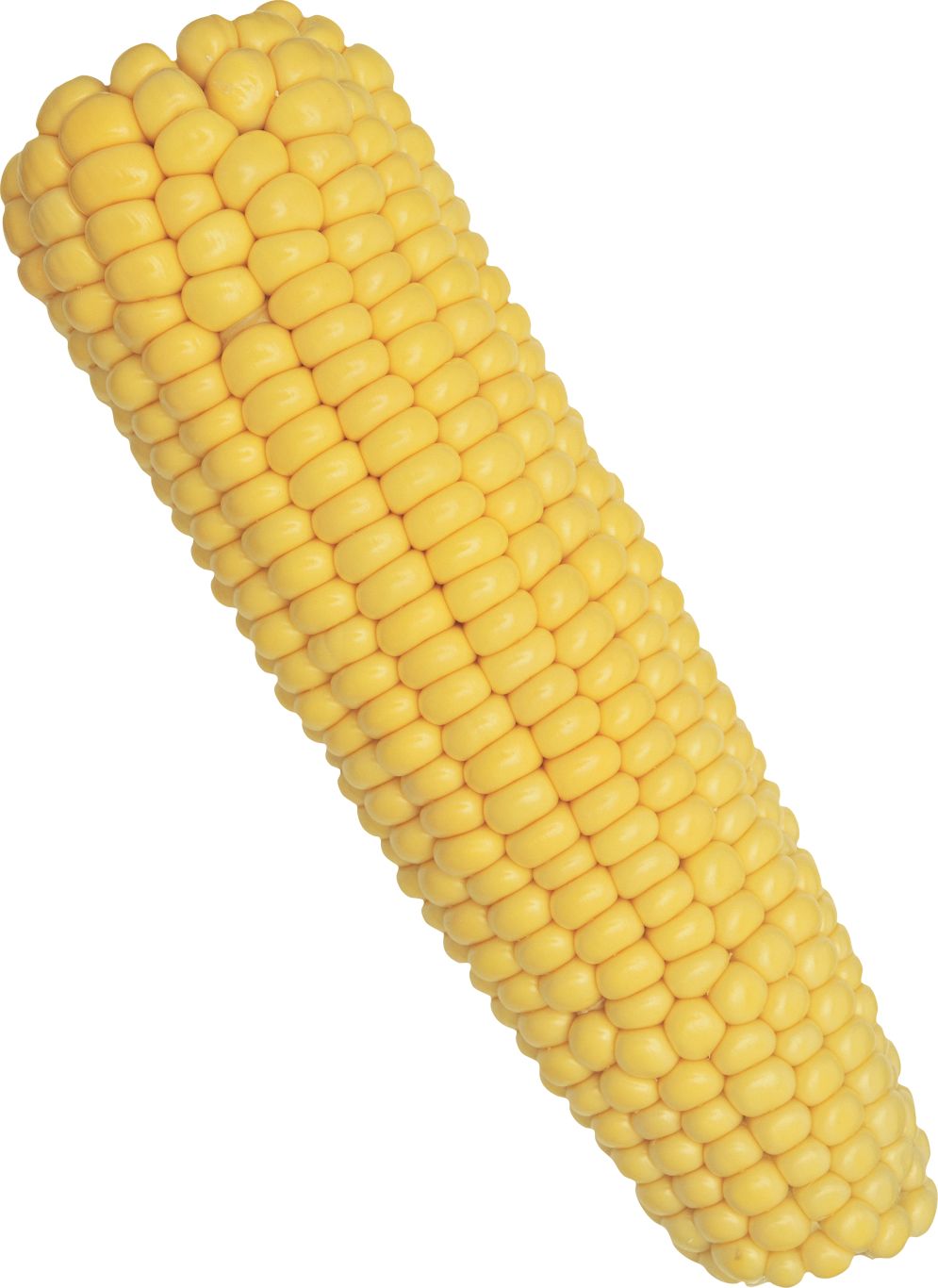 Corn PNG image    图片编号:5269