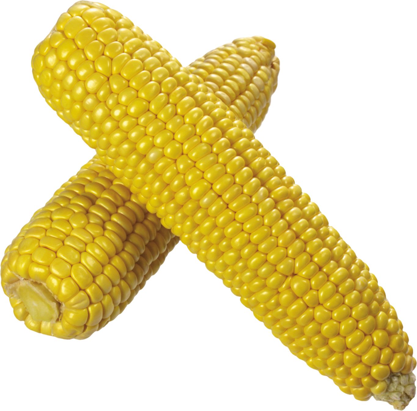 Corn PNG image    图片编号:5272