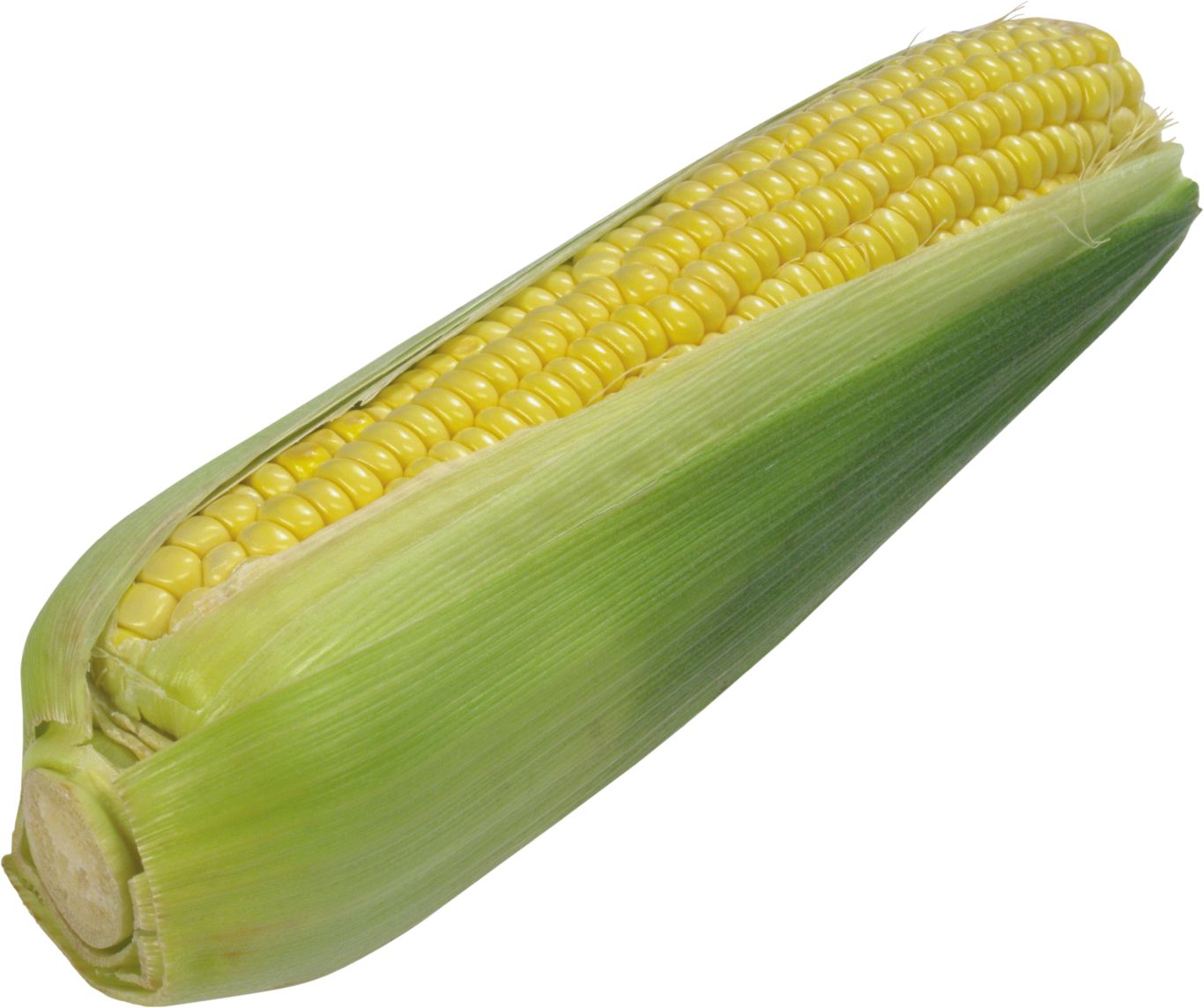 Corn PNG image    图片编号:5278