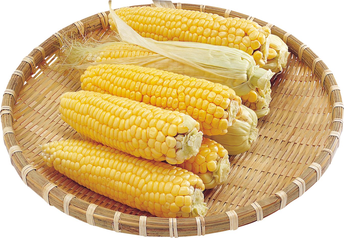 Corn PNG image    图片编号:5280