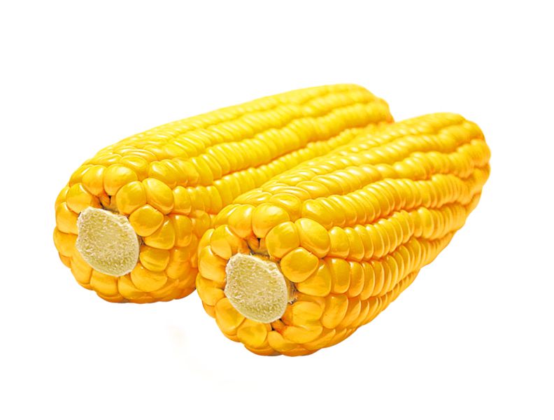 Corn PNG image    图片编号:5281