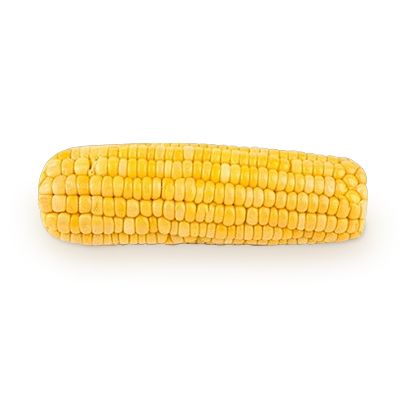 Corn PNG image    图片编号:5282