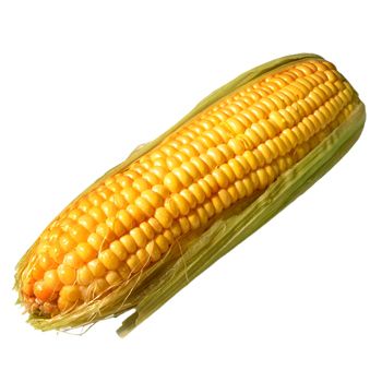 Corn PNG image    图片编号:5283