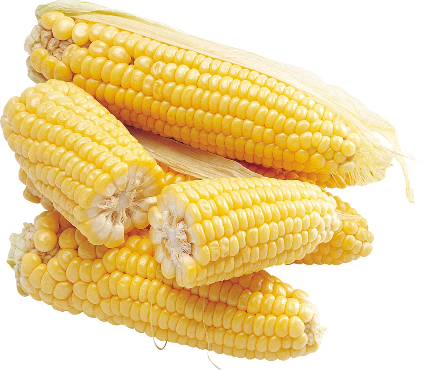 Corn PNG image    图片编号:5293