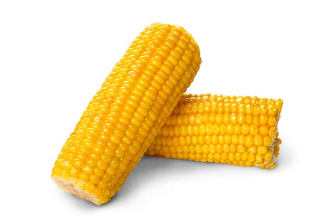 Corn PNG image    图片编号:5295